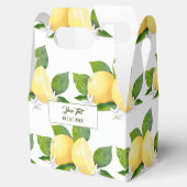 レモンシトラスフルーツ植物学 フェイバーボックス (オープン)