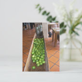 レモンジュースかパイナップルジュースか? ポストカード (スタンド正面)