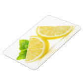 レモンスライス マグネット (左側)