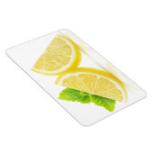 レモンスライス マグネット (右側)