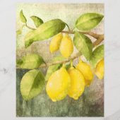 レモンズオンアブランチ (正面)