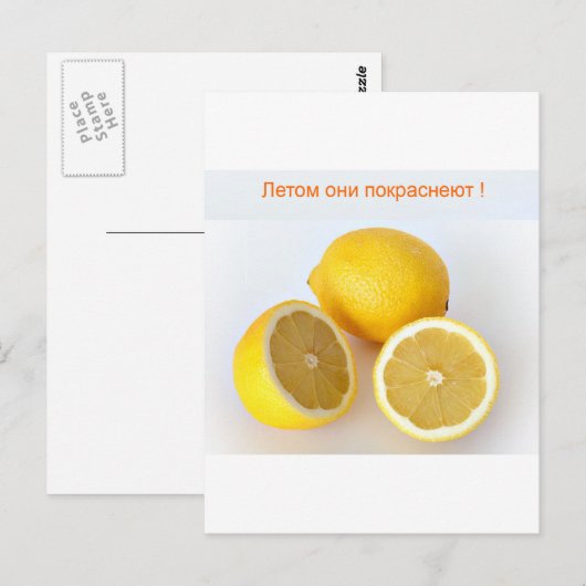 レモンズ ポストカード (正面/裏面)