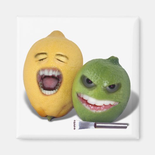 レモンゼスターに注意 マグネット (正面)