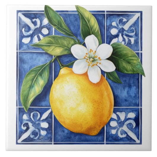 レモンタ地中海のイル タイル (正面)