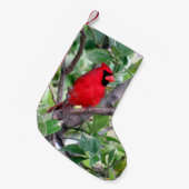 レモンツリーの（鳥）ショウジョウコウカンチョウ – クリスマスストッキング (正面 (吊り時))