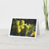 レモンツリークローズアップ カード (正面)