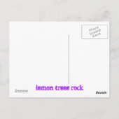 レモンツリーズロック ポストカード (裏面)