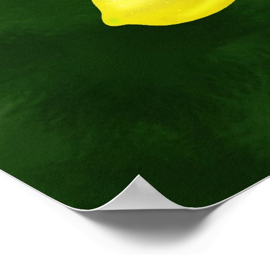 レモンツリー ポスター (角)