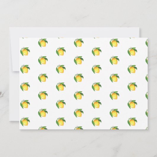 レモンデルメインスクイーズフォト誕生 案内状 (裏面)