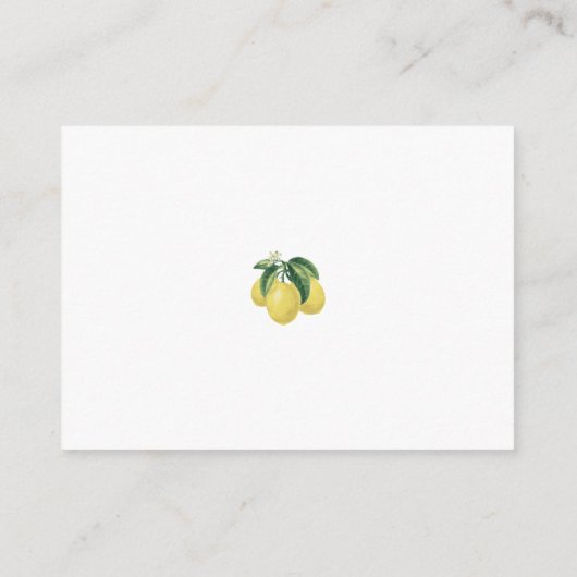 レモンバタフライベビーシャワーおむつラッフル エンクロージャーカード (裏面)