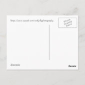 レモンパイサボサボサボフラワーデライト，アリゾナ ポストカード (裏面)