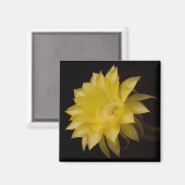 レモンパイ サボテンの花の喜び マグネット (正面/裏面)