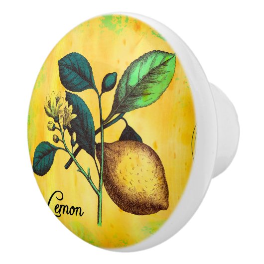 レモンフルーツによっては植物の葉のヴィンテージが開花します セラミックノブ (右)