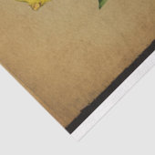 レモンフルーツイラストレーションエフェメラNo1 薄葉紙 (詳細)