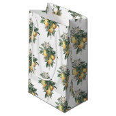 レモンフルーツツツツヤ抱き枕 スモールペーパーバッグ (正面アングル)