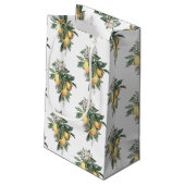 レモンフルーツツツツヤ抱き枕 スモールペーパーバッグ (裏面アングル)