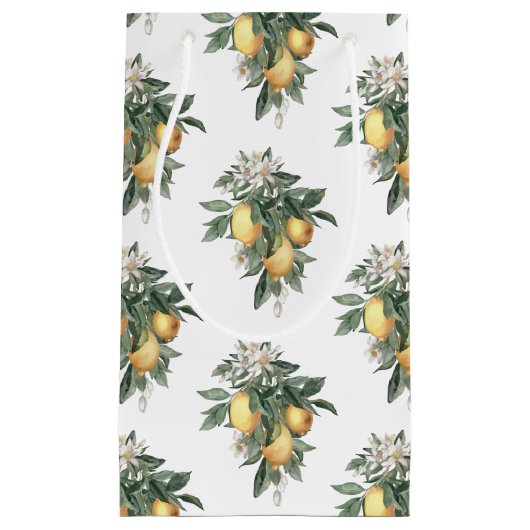 レモンフルーツツツツヤ抱き枕 スモールペーパーバッグ (正面)