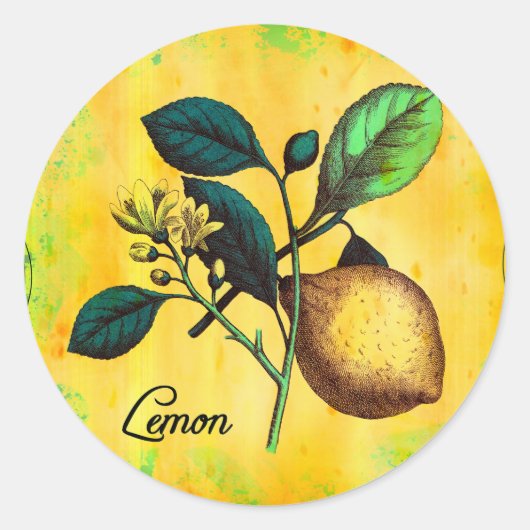 レモンフルーツフラワーズ葉ヴィンテージ植物学 ラウンドシール (正面)