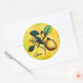 レモンフルーツフラワーズ葉ヴィンテージ植物学 ラウンドシール (封筒)