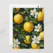 レモンフルーツブロッサム絵を描アート ポストカード (正面/裏面)