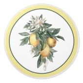 レモンフルーツラウンド セラミックノブ (正面)