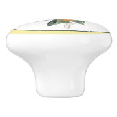 レモンフルーツラウンド セラミックノブ (側面)