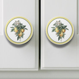 レモンフルーツラウンド セラミックノブ