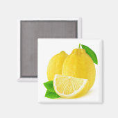 レモンフルーツ マグネット (正面/裏面)