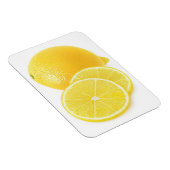 レモンフルーツ マグネット (右側)