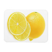 レモンフルーツ マグネット (横)