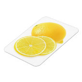 レモンフルーツ マグネット (左側)