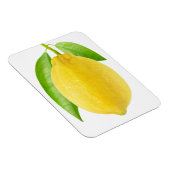 レモンフルーツ マグネット (右側)