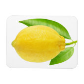 レモンフルーツ マグネット (横)