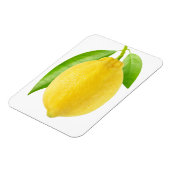 レモンフルーツ マグネット (左側)