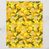 レモンフル (正面/裏面)