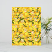 レモンフル (スタンド正面)