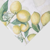 レモンブランズホワイト&イエローカントリー素朴 薄葉紙 (詳細)