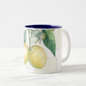 レモンブランチホワイト&イエローカントリー素朴シック ツートーンマグカップ (正面右)