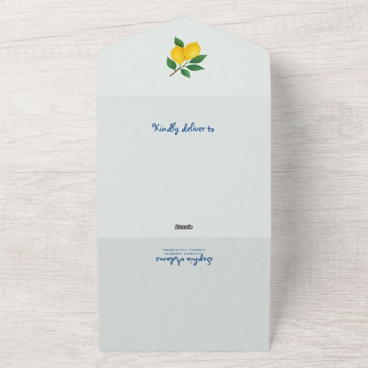 レモンブルーウィミフレームラドルチェヴィータブライダルシャワー オールインワン招待状 (外側)