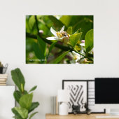 レモンブロッサムビー(2) ポスター (ホームオフィス)