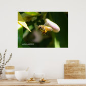 レモンブロッサムビー(5) ポスター (キッチン)