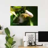 レモンブロッサムビー(5) ポスター (ホームオフィス)