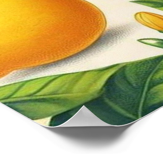 レモンプリントウォールアートポスター ポスター (角)