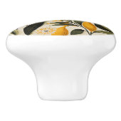 レモンボタニカルグローブ セラミックノブ (側面)