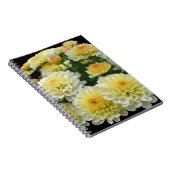 レモンメレンゲ菊 ノートブック (右側)