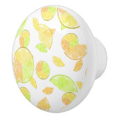 レモンライムオレンジスライスのフルーツ柑橘類自然 セラミックノブ (右)