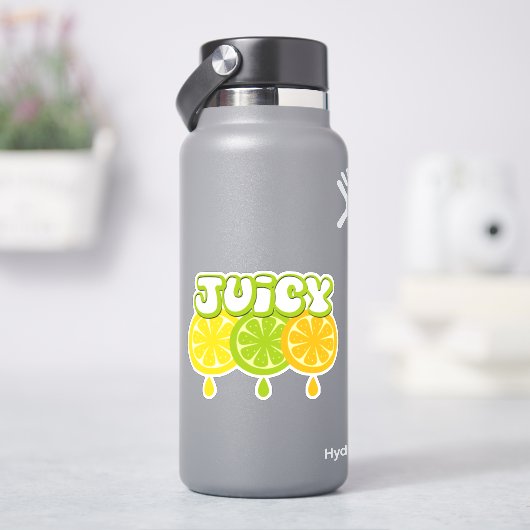 レモンライムオレンジフルーツビニールシール シール (HydroFlask)
