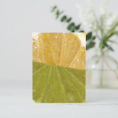 レモンリミド… ポストカード (スタンド正面)