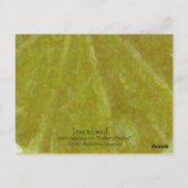 レモンリミド… ポストカード (裏面)