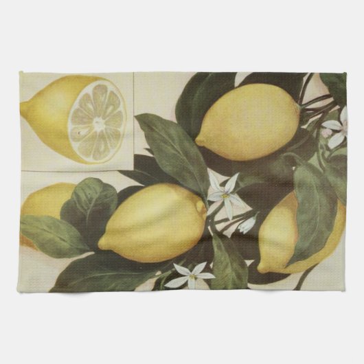 レモン台所タオル キッチンタオル (横)